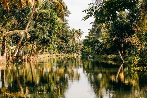 Tea Gardens & Lush Backdrops Kerala